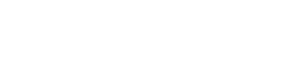 visa-secure